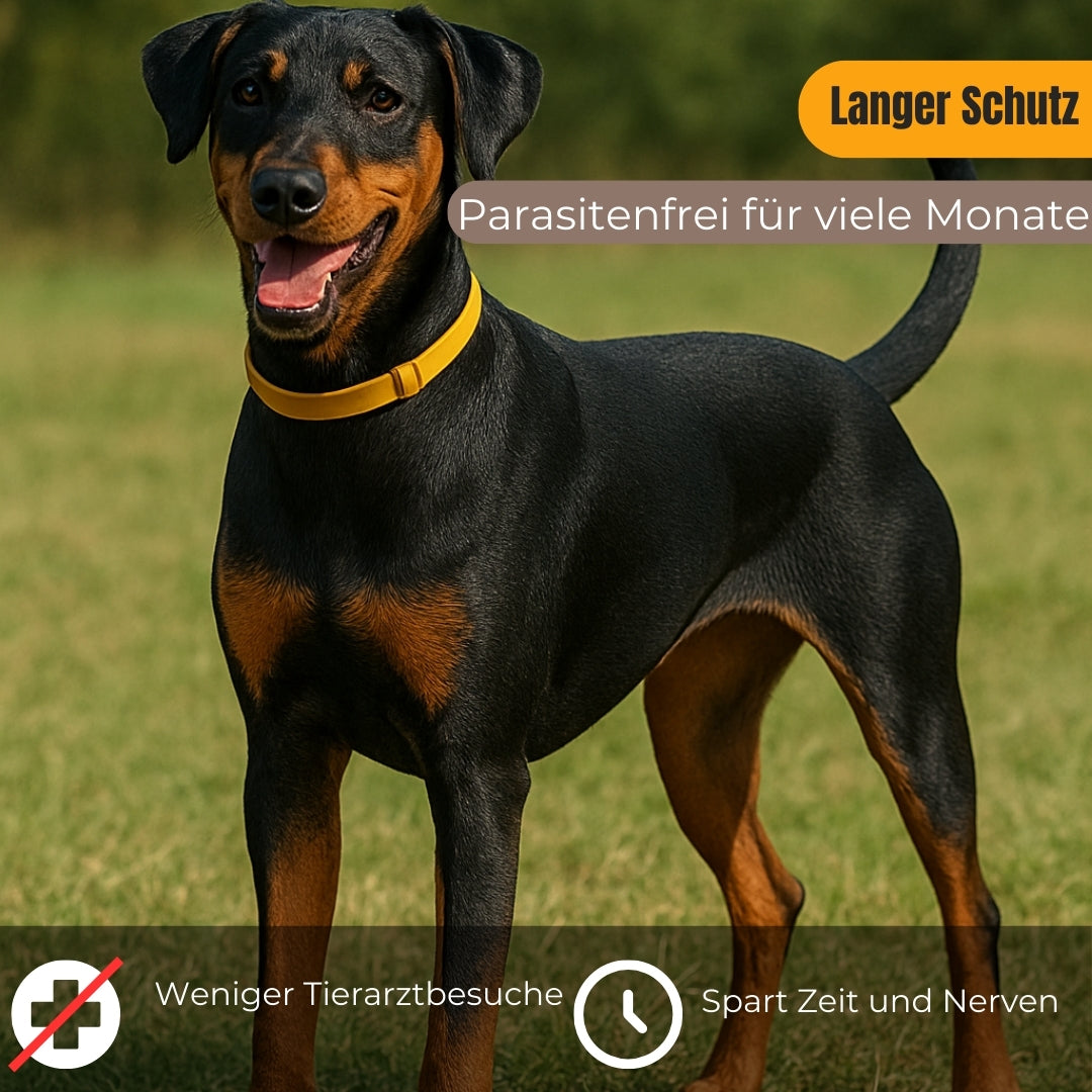 Natürliches Zecken-und Flohhalsband für Hund und Katze