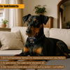 Tierfreundliches Anti-Bell Halsband