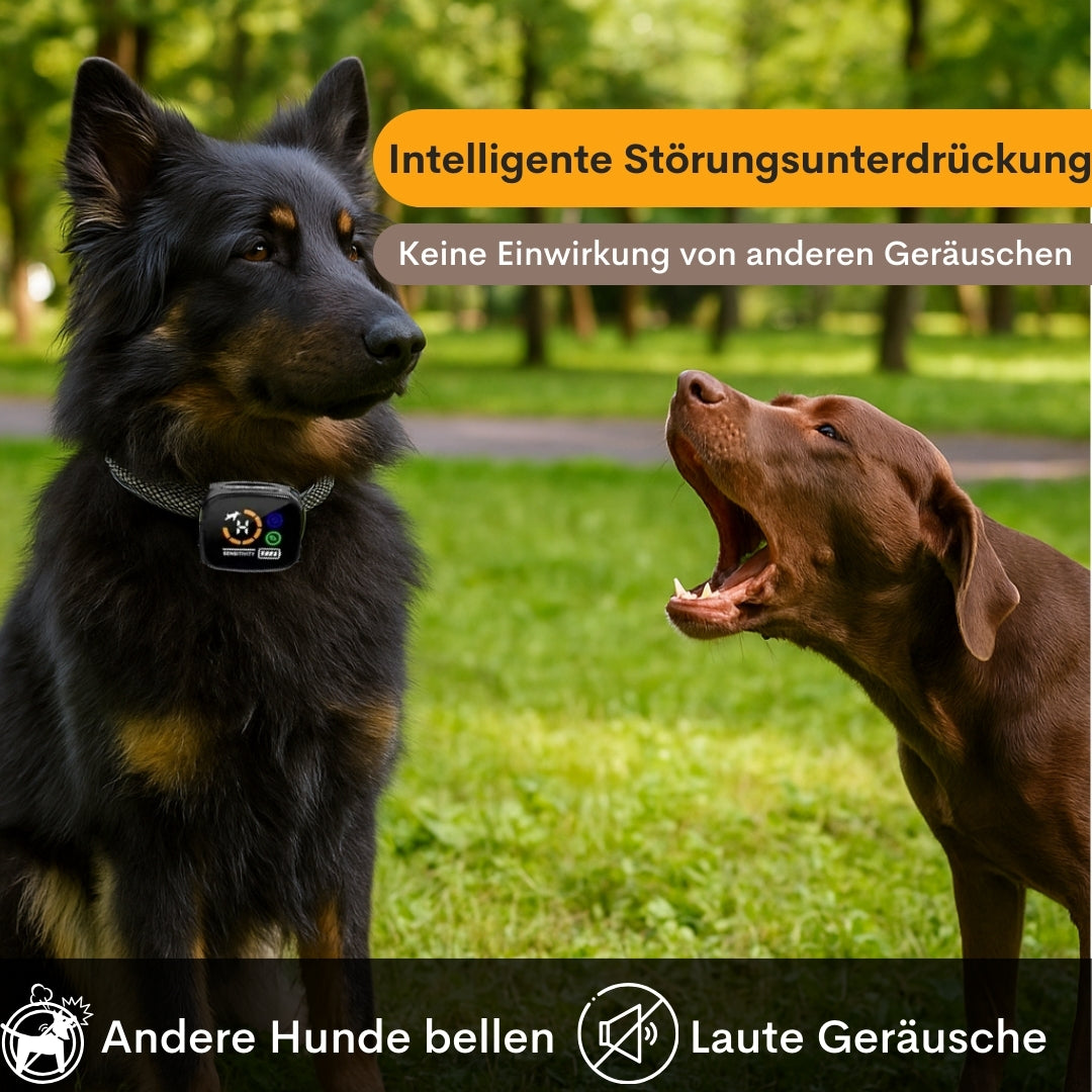 Tierfreundliches Anti-Bell Halsband