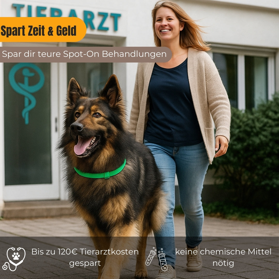 Natürliches Zecken-und Flohhalsband für Hund und Katze
