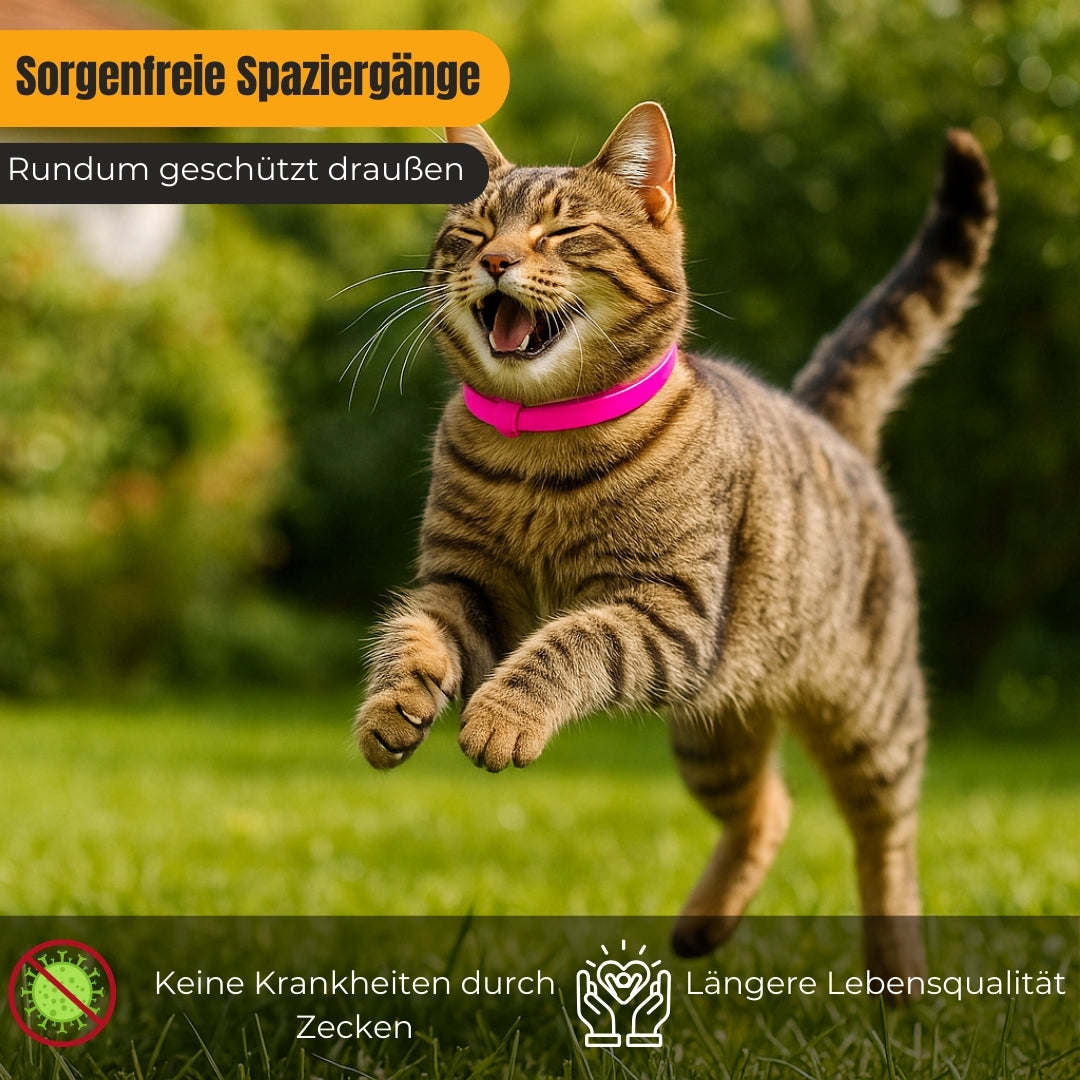 Natürliches Zecken-und Flohhalsband für Hund und Katze