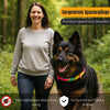 Natürliches Zecken-und Flohhalsband für Hund und Katze